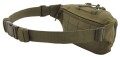 Coyote 2.jpg